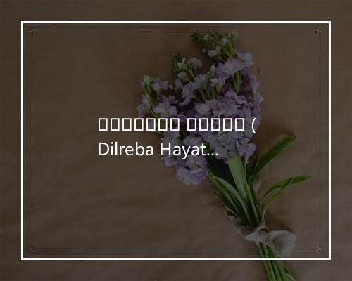 دىلرەبا ھايات (Dilreba Hayat) - 买吾兰·买买提明-歌词