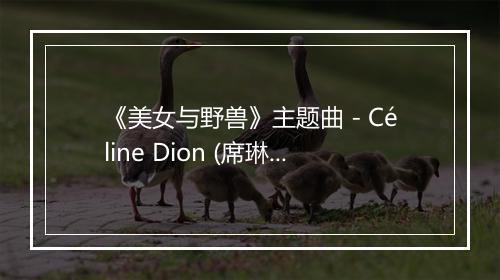 《美女与野兽》主题曲 - Céline Dion (席琳·迪翁)-歌词