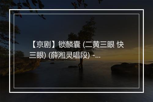 【京剧】锁麟囊 (二黄三眼 快三眼) (薛湘灵唱段) - 张火丁-歌词