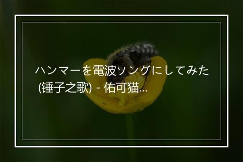 ハンマーを電波ソングにしてみた (锤子之歌) - 佑可猫 (猫大可)-歌词