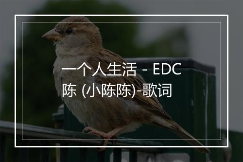 一个人生活 - EDC陈 (小陈陈)-歌词