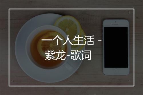 一个人生活 - 紫龙-歌词