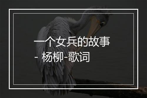 一个女兵的故事 - 杨柳-歌词