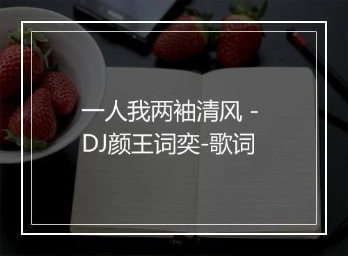 一人我两袖清风 - DJ颜王词奕-歌词