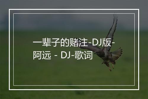 一辈子的赌注-DJ版-阿远 - DJ-歌词