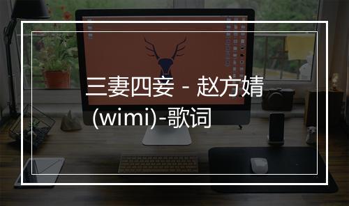 三妻四妾 - 赵方婧 (wimi)-歌词