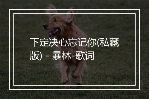 下定决心忘记你(私藏版) - 暴林-歌词