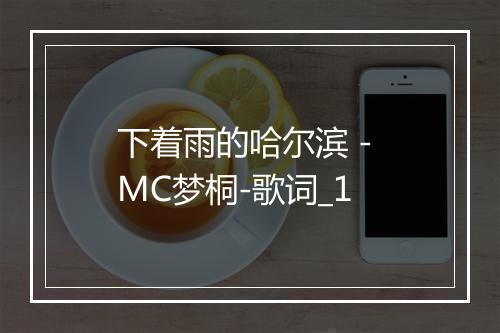 下着雨的哈尔滨 - MC梦桐-歌词_1