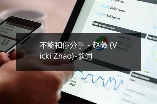 不能和你分手 - 赵薇 (Vicki Zhao)-歌词