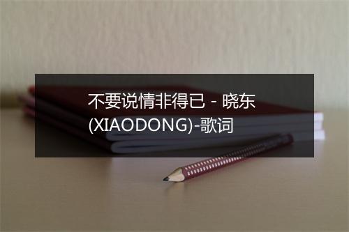 不要说情非得已 - 晓东 (XIAODONG)-歌词