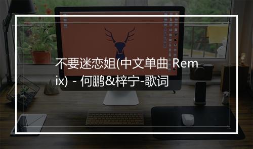 不要迷恋姐(中文单曲 Remix) - 何鹏&梓宁-歌词