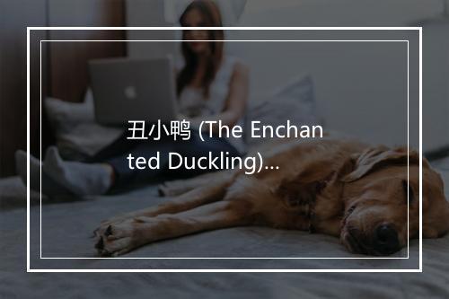 丑小鸭 (The Enchanted Duckling) - 小蓓蕾组合-歌词