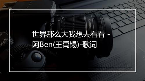 世界那么大我想去看看 - 阿Ben(王禹锡)-歌词