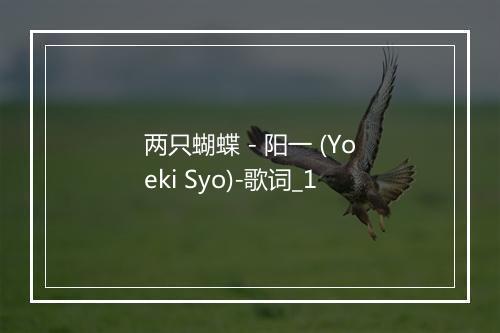 两只蝴蝶 - 阳一 (Yoeki Syo)-歌词_1