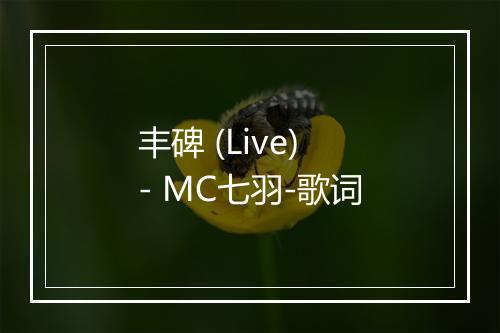 丰碑 (Live) - MC七羽-歌词