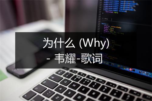 为什么 (Why) - 韦耀-歌词