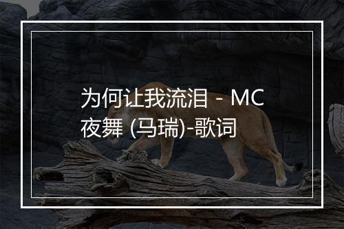 为何让我流泪 - MC夜舞 (马瑞)-歌词