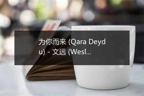 为你而来 (Qara Deydu) - 文远 (Wesley Wen)-歌词