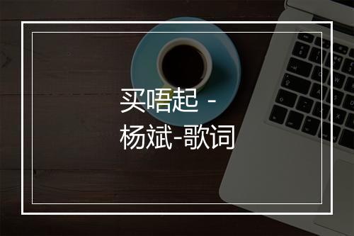 买唔起 - 杨斌-歌词