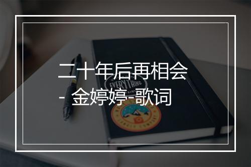 二十年后再相会 - 金婷婷-歌词