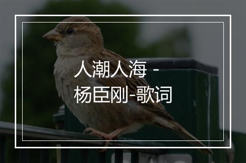 人潮人海 - 杨臣刚-歌词