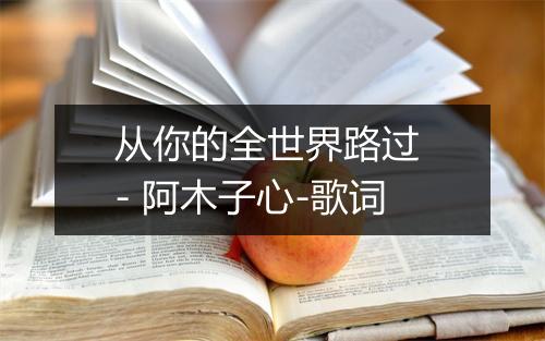 从你的全世界路过 - 阿木子心-歌词