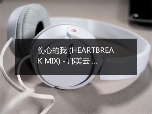 伤心的我 (HEARTBREAK MIX) - 邝美云 (Kwong Cally)-歌词