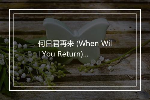 何日君再来 (When Will You Return) - 柏翊梅-歌词