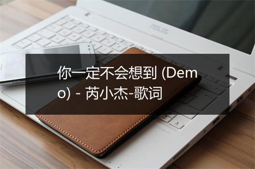 你一定不会想到 (Demo) - 芮小杰-歌词