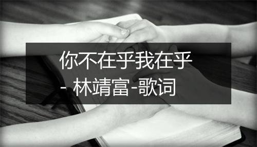 你不在乎我在乎 - 林靖富-歌词