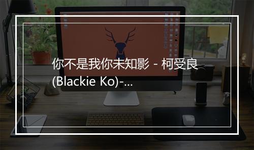 你不是我你未知影 - 柯受良 (Blackie Ko)-歌词