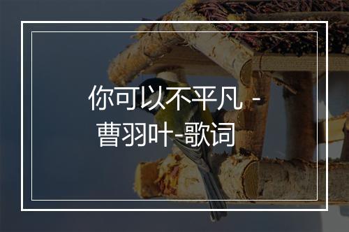 你可以不平凡 - 曹羽叶-歌词