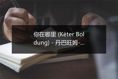 你在哪里 (Këter Boldung) - 丹巴旺姆-歌词