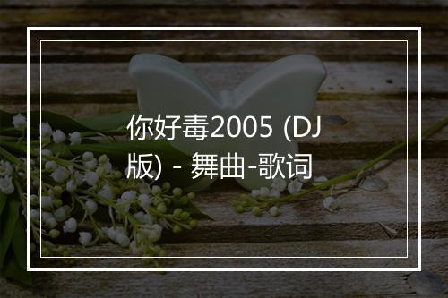 你好毒2005 (DJ版) - 舞曲-歌词