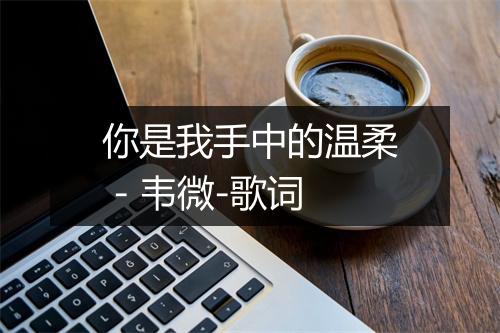 你是我手中的温柔 - 韦微-歌词