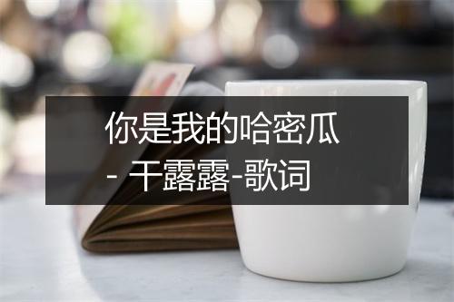 你是我的哈密瓜 - 干露露-歌词