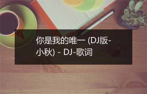 你是我的唯一 (DJ版-小秋) - DJ-歌词