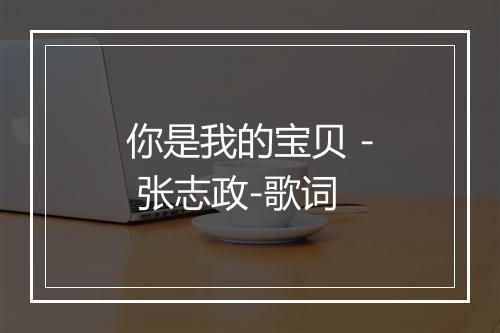 你是我的宝贝 - 张志政-歌词