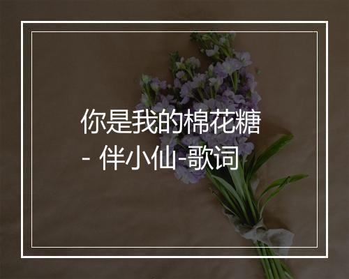 你是我的棉花糖 - 伴小仙-歌词