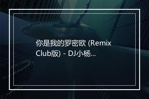 你是我的罗密欧 (Remix Club版) - DJ小杨-歌词