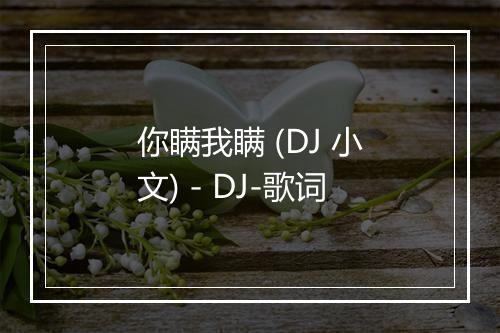 你瞒我瞒 (DJ 小文) - DJ-歌词