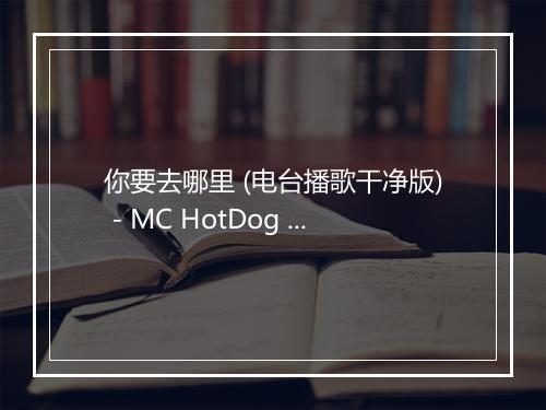 你要去哪里 (电台播歌干净版) - MC HotDog 热狗 (姚中仁)-歌词