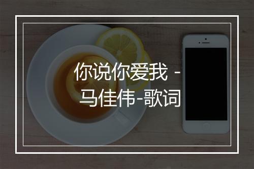 你说你爱我 - 马佳伟-歌词