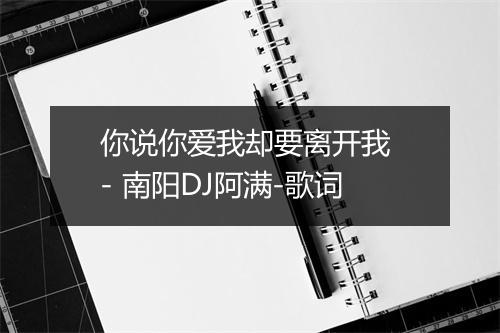 你说你爱我却要离开我 - 南阳DJ阿满-歌词