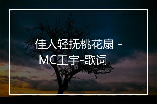 佳人轻抚桃花扇 - MC王宇-歌词