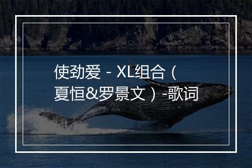 使劲爱 - XL组合（夏恒&罗景文）-歌词