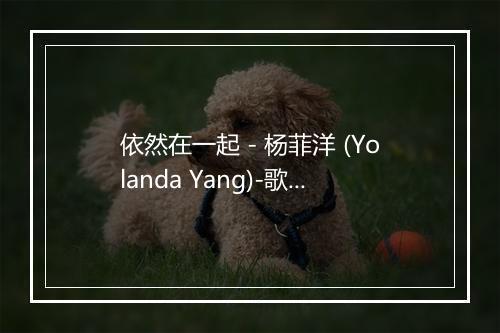 依然在一起 - 杨菲洋 (Yolanda Yang)-歌词