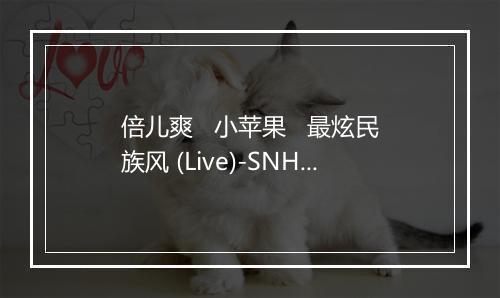 倍儿爽   小苹果   最炫民族风 (Live)-SNH48-歌词