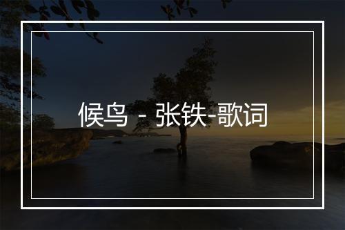 候鸟 - 张铁-歌词