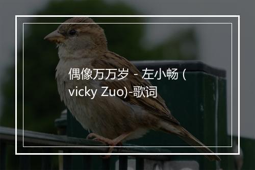 偶像万万岁 - 左小畅 (vicky Zuo)-歌词